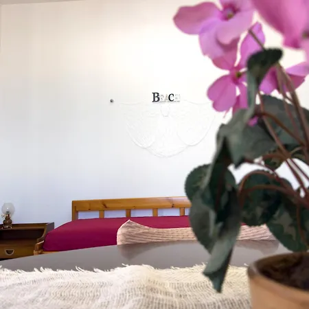 Barcarello & Sea * Palerme